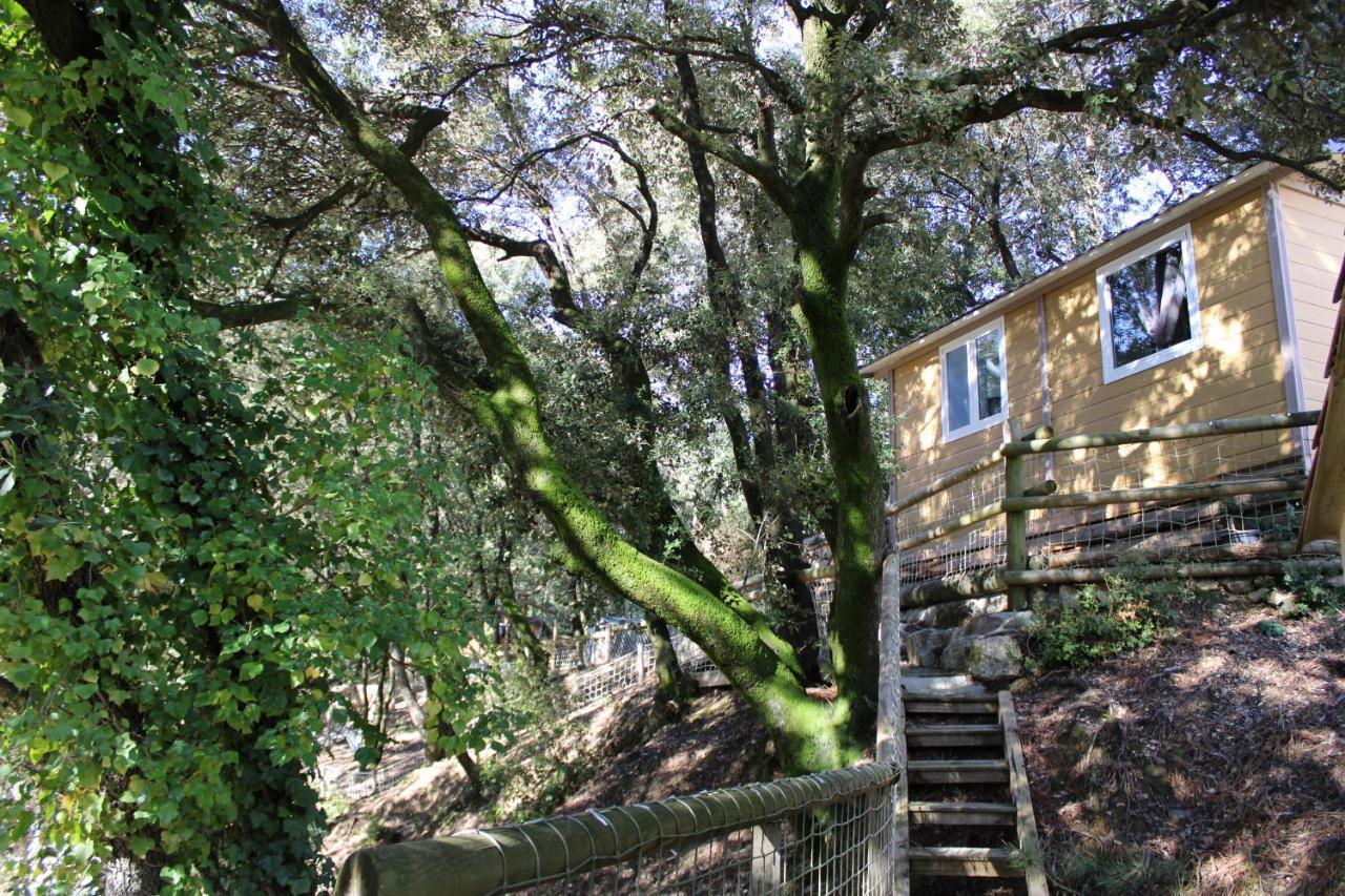 Le Domaine Du Naizadou Chalet Lou Grilh Villa La Barriére Exterior foto